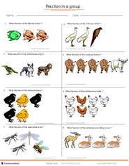 Fractions applied to group of animals